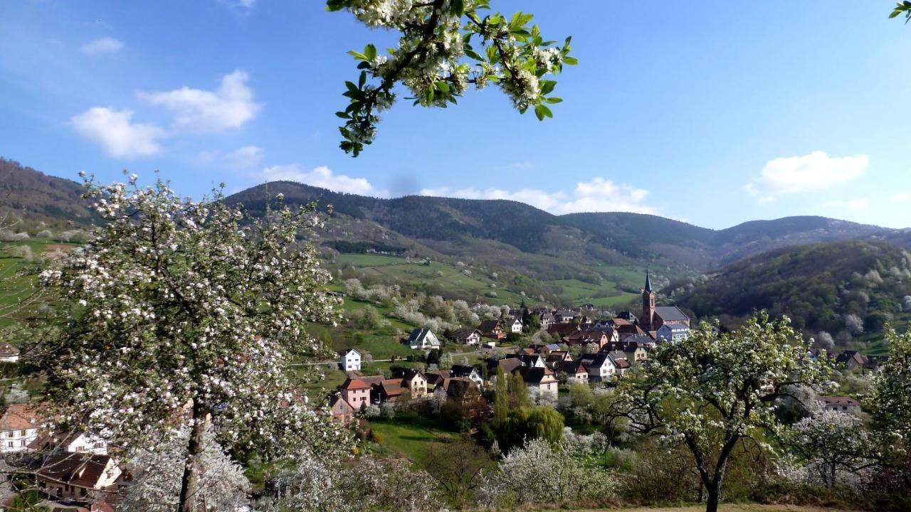 Les Gites La Cerisaie Breitenbach Εξωτερικό φωτογραφία